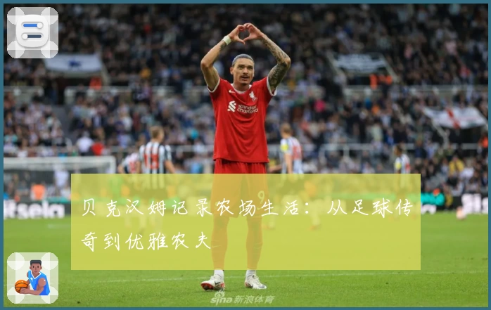 贝克汉姆记录农场生活：从足球传奇到优雅农夫