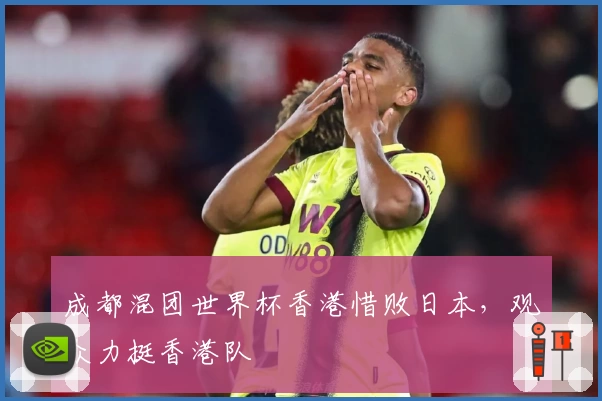 成都混团世界杯香港惜败日本，观众力挺香港队