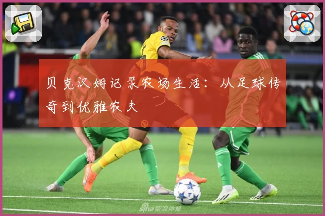 贝克汉姆记录农场生活：从足球传奇到优雅农夫