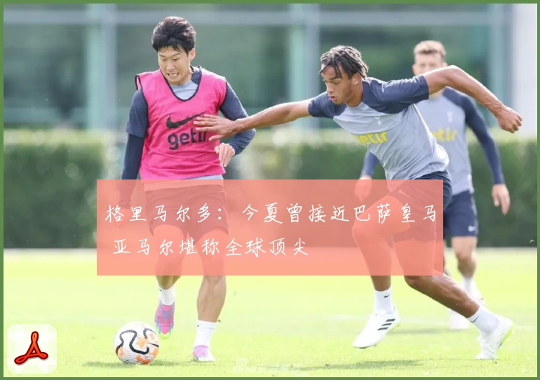 格里马尔多：今夏曾接近巴萨皇马 亚马尔堪称全球顶尖