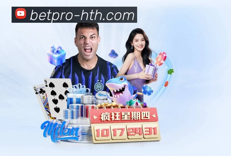 登录器